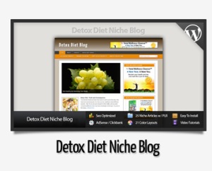 Detox Diet Niche Blog